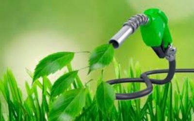 Fomento uso biocarburantes y combustibles renovables con fines de transporte